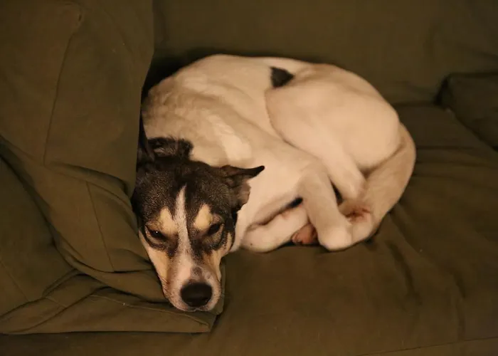 Frühstückspension Rose E Cioccolato 3*