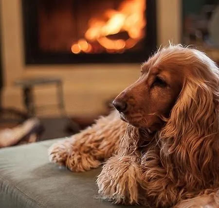 Alojamento de Acomodação e Pequeno-almoço Rose E Cioccolato