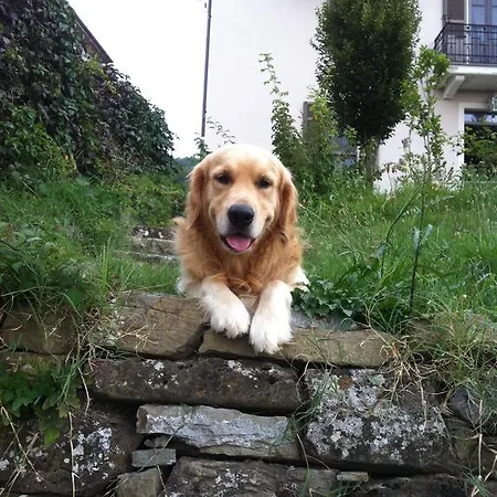 Rose E Cioccolato 3* Borgo Val di Taro