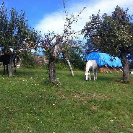 Rose E Cioccolato 住宿加早餐酒店 塔罗谷镇