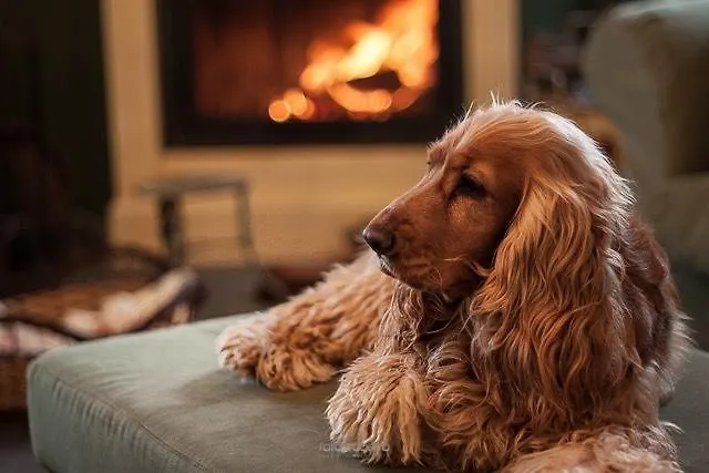 住宿加早餐酒店 Rose E Cioccolato