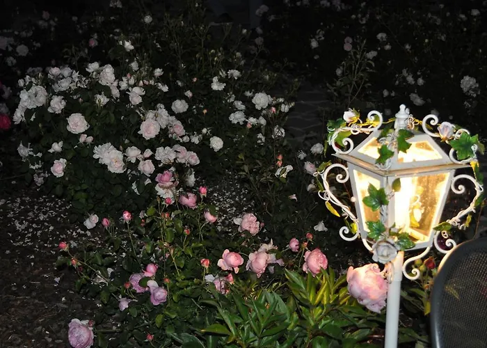 Rose E Cioccolato 3*