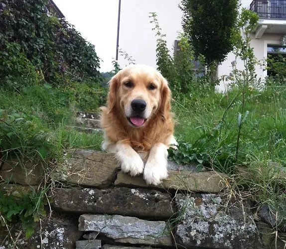 Rose E Cioccolato 3* Borgo Val di Taro