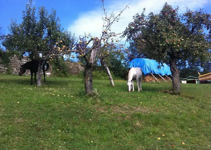 Rose E Cioccolato 住宿加早餐酒店 塔罗谷镇